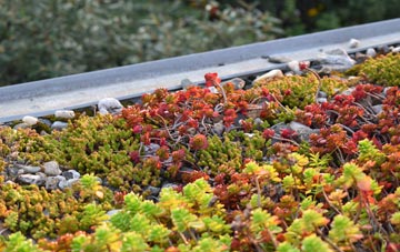 the cost of Thormanby green roof installation