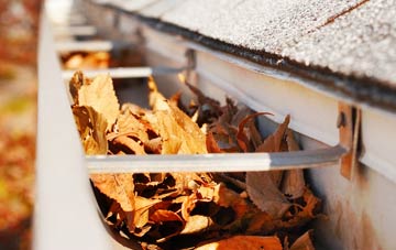 Thormanby gutter cleaning companies