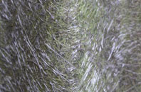 Thormanby fibreglass roof work